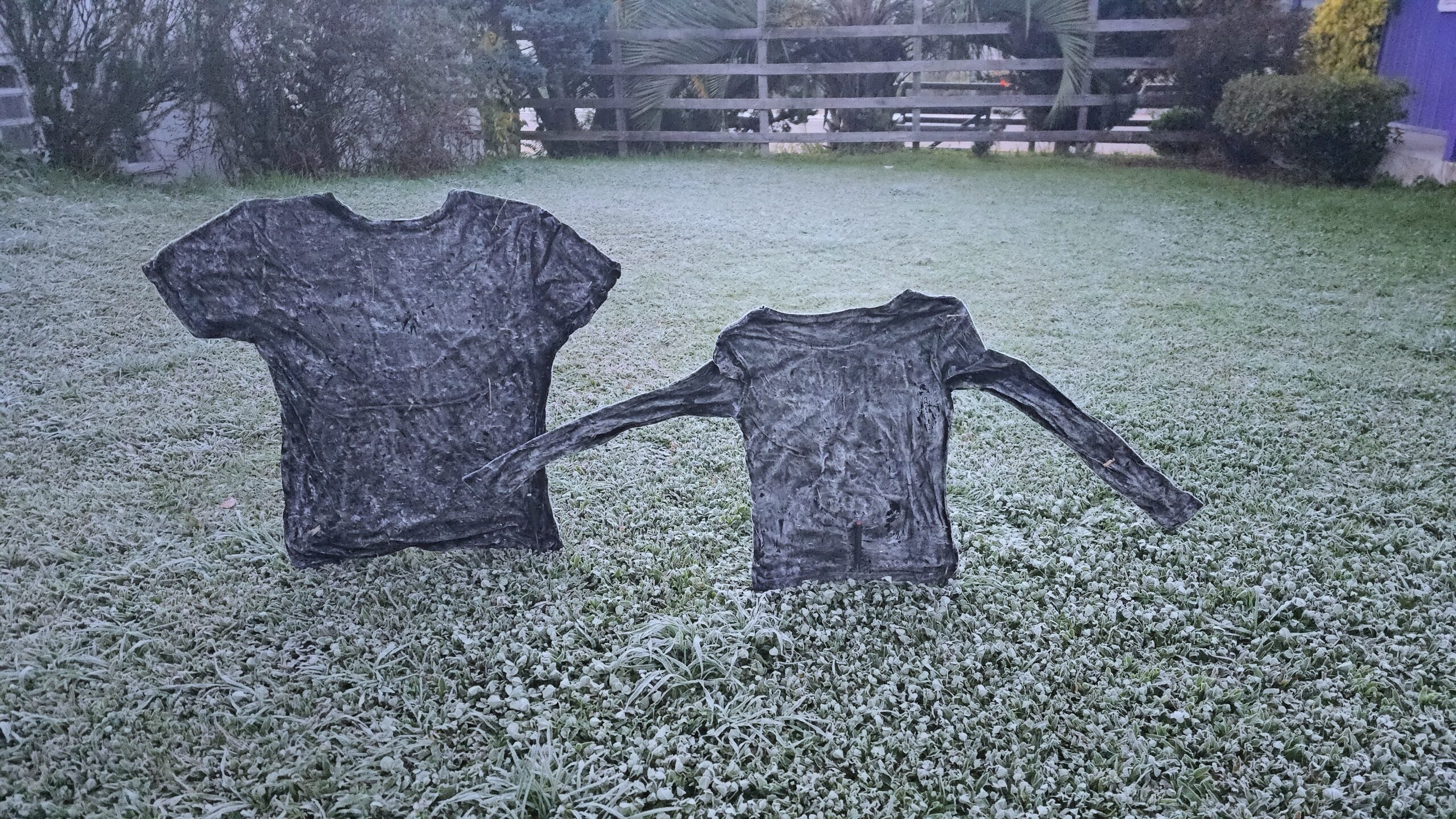 Santa Catarina registra temperatura mais baixa do ano com -6,5°C em São Joaquim