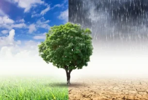 SC tem fim de semana de chuva com passagem de duas frentes frias