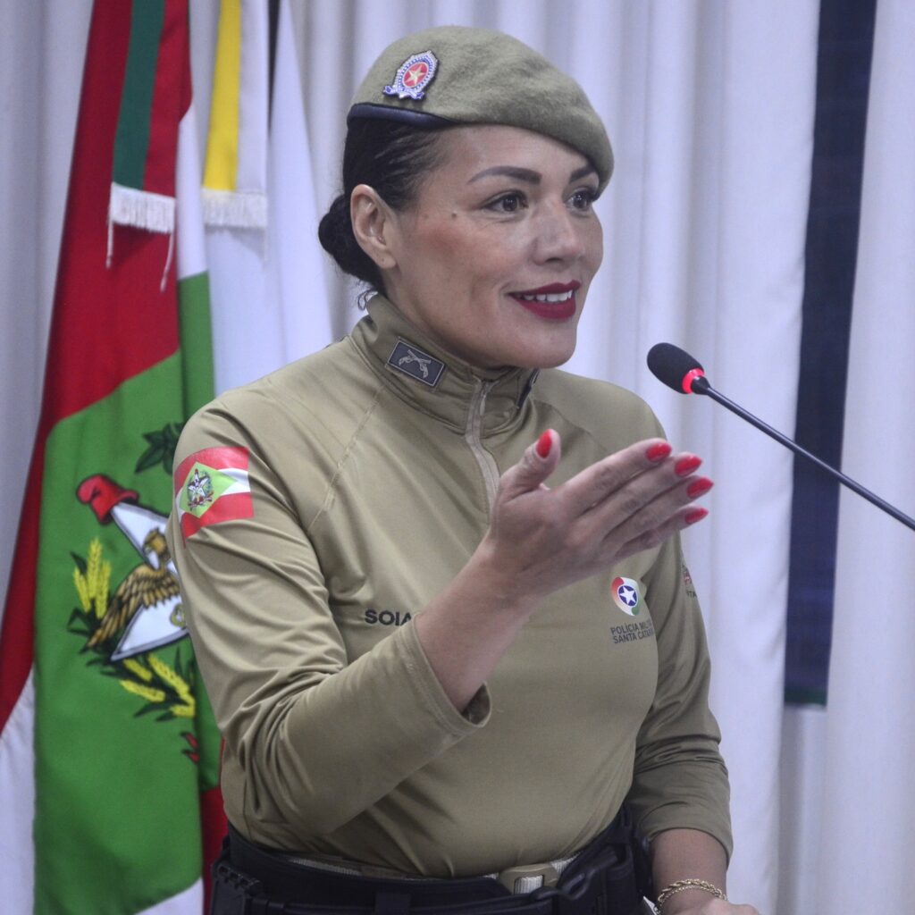 Mais de 200 casos de violência doméstica mobilizam rede de proteção em Ibirama