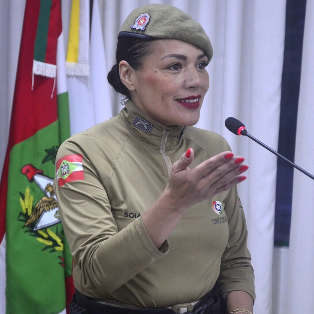 Mais de 200 casos de violência doméstica mobilizam rede de proteção em Ibirama