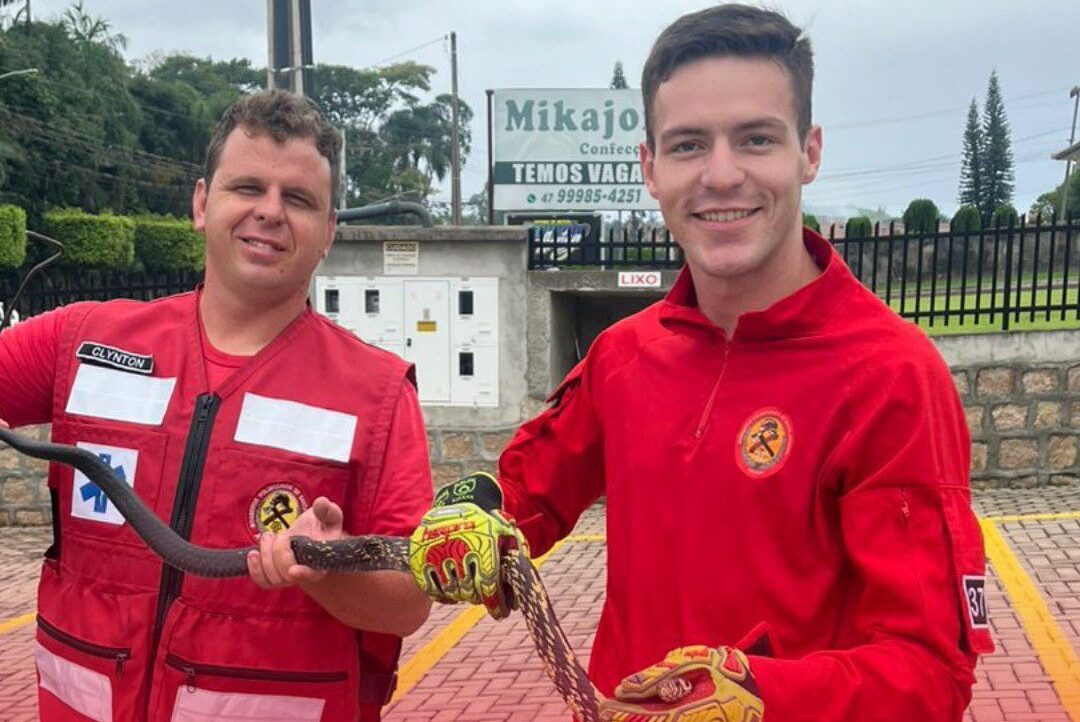 “Toda vida importa”: Bombeiros de Presidente Getúlio celebram o Dia dos Animais