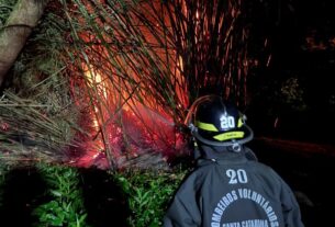 Incêndio em bambuzal mobiliza Bombeiros Voluntários no centro de Apiúna