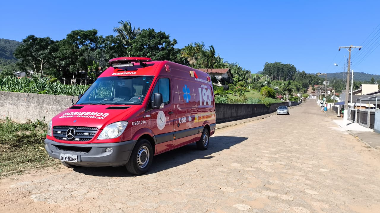 Idoso é encontrado  morto após ataque de abelhas de José Boiteux