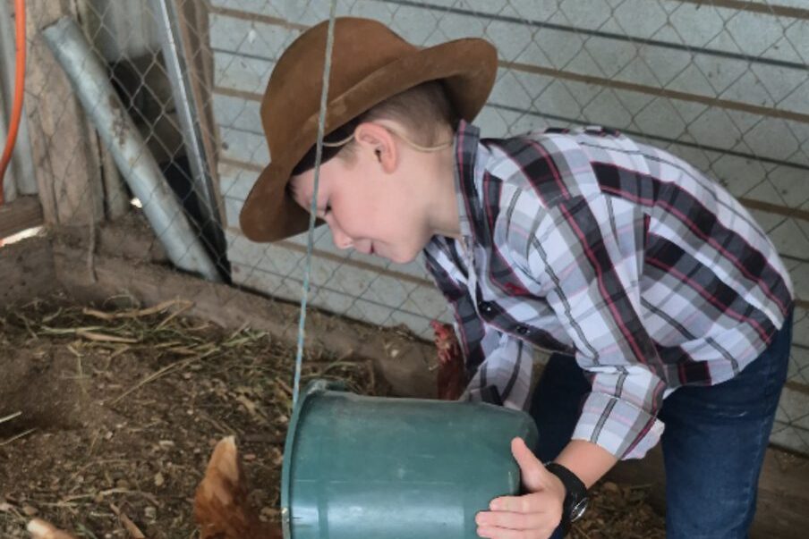 Conheça o “Zé dos Ovos”: O menino de 7 anos que empreende em Gaspar para pagar a própria escola