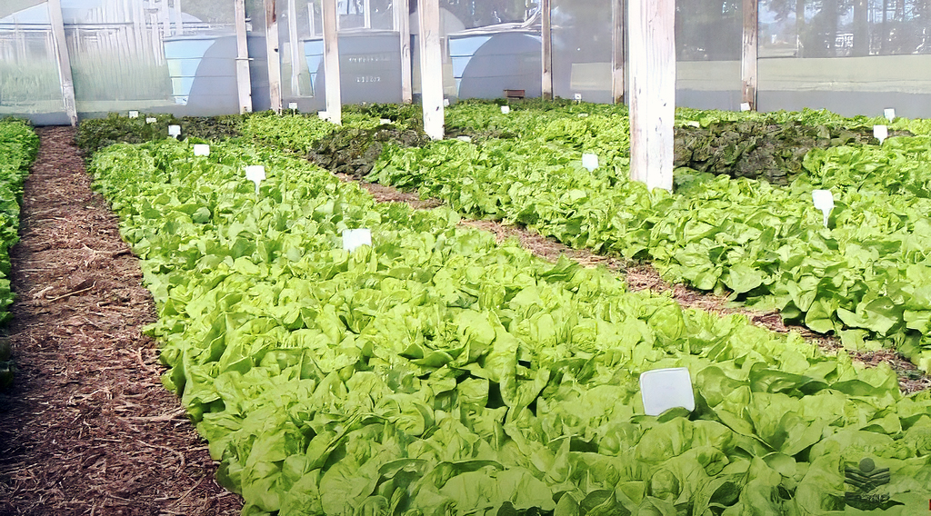 Governo do Estado regulamenta Política de Agroecologia e impulsiona produção de orgânicos em SC