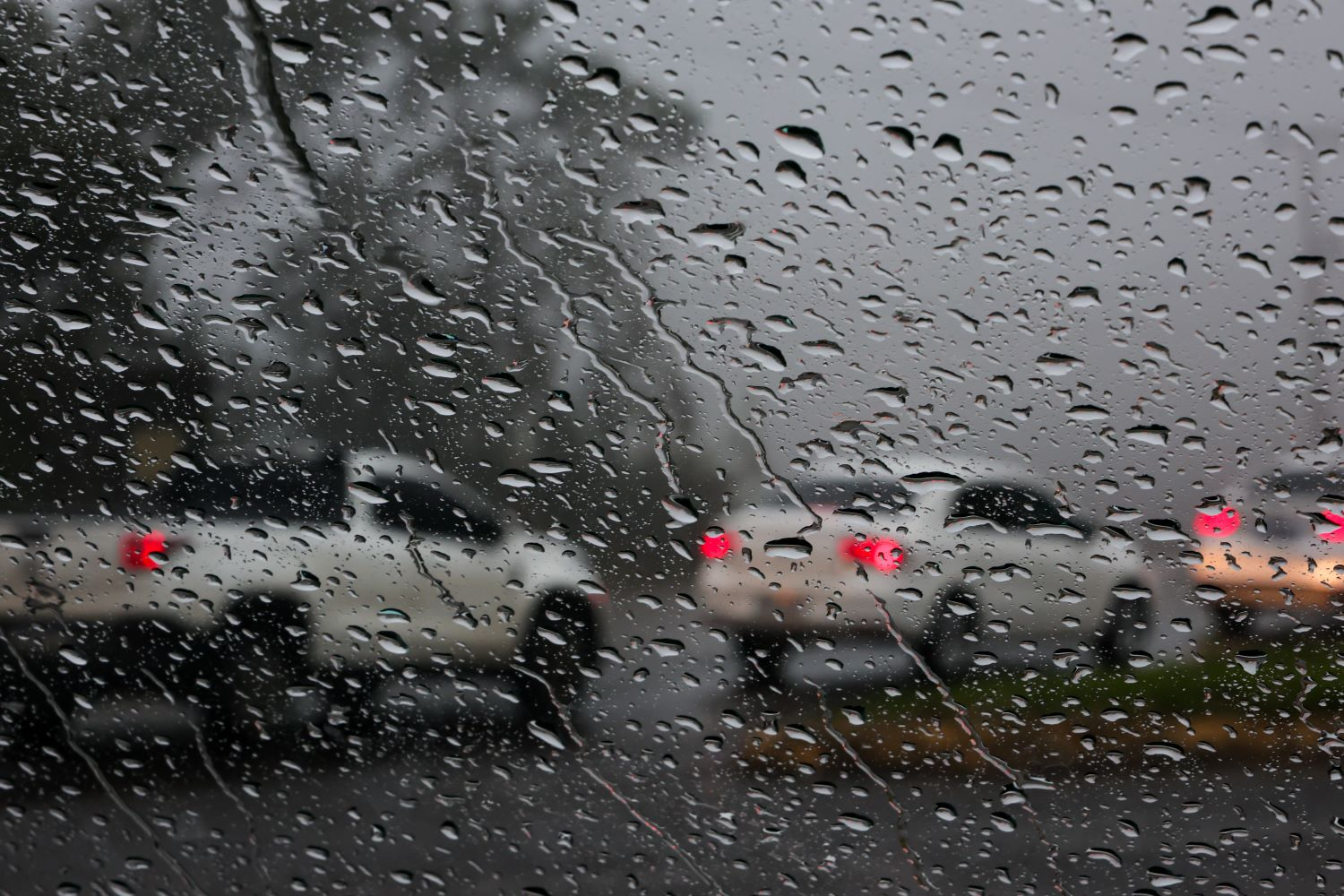 Defesa Civil de Ibirama inicia ações preventivas diante da previsão de El Niño e aumento das chuvas