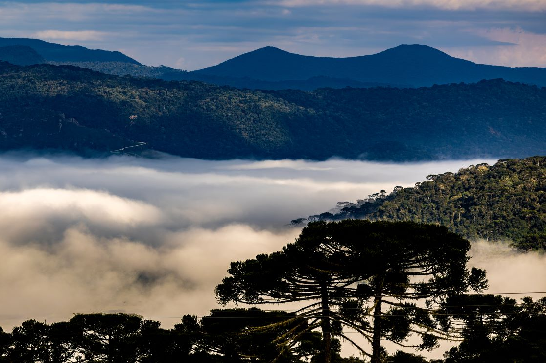 Dia das Mães terá frio intenso e geada em Santa Catarina com avanço de massa de ar polar
