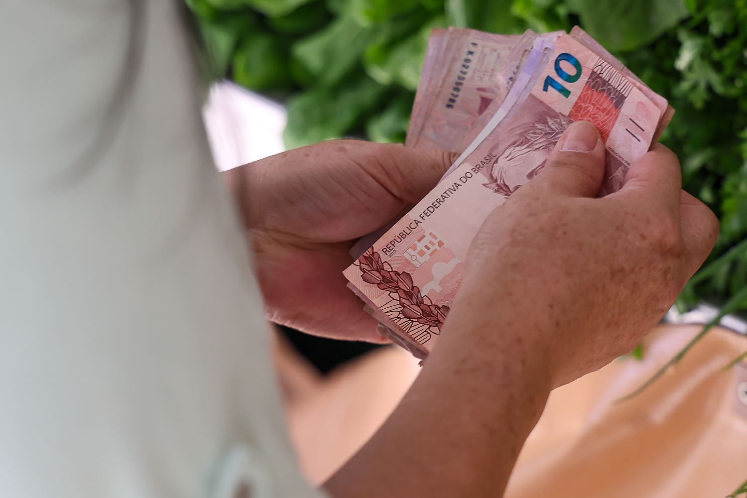 Santa Catarina é o estado que menos recebe Bolsa Família no Brasil, aponta IBGE