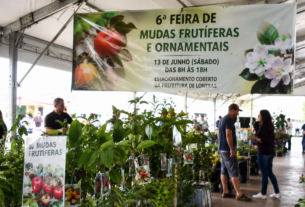 6ª Feira de Mudas Frutíferas e Ornamentais será realizada neste sábado em Lontras