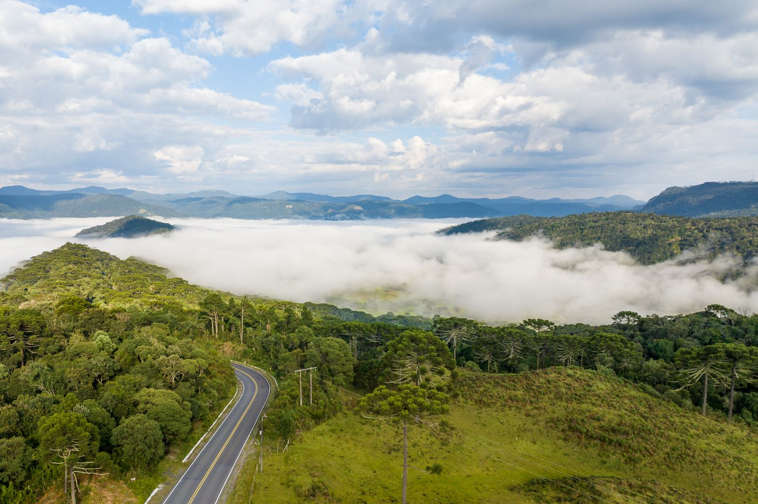 Massa de ar frio derruba temperaturas em Santa Catarina e mantém tempo firme até quinta-feira