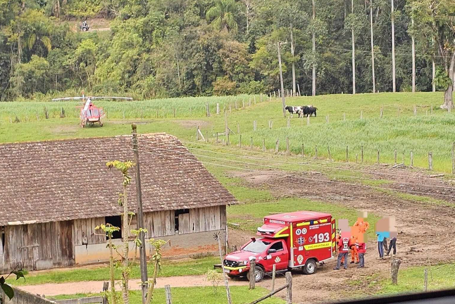 Trabalhador fica ferido após árvore cair durante corte em Ibirama