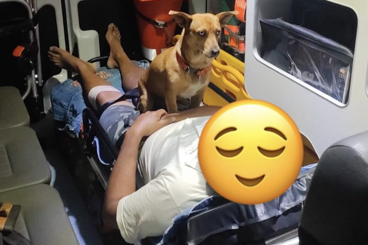Cão acompanha tutor durante atendimento do SAMU em Ibirama e emociona equipe