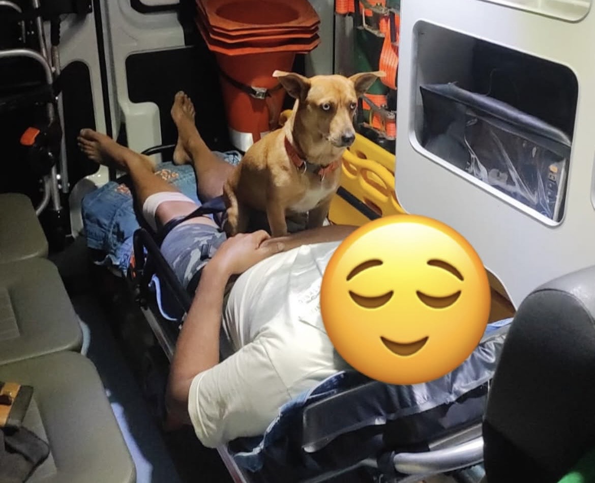 Cão acompanha tutor durante atendimento do SAMU em Ibirama e emociona equipe