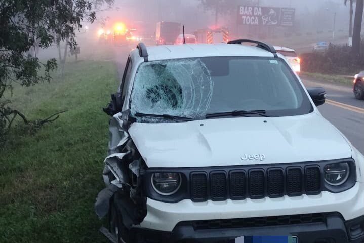 Duas crianças morrem após serem atropeladas na BR-470 em Pouso Redondo