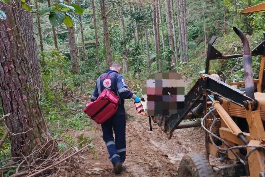 Homem fica gravemente ferido após ser atingido por árvore em Ibirama
