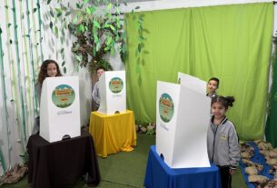 Crianças de Presidente Getúlio vão às urnas em eleição com candidatos inspirados na fauna e na flora brasileiras