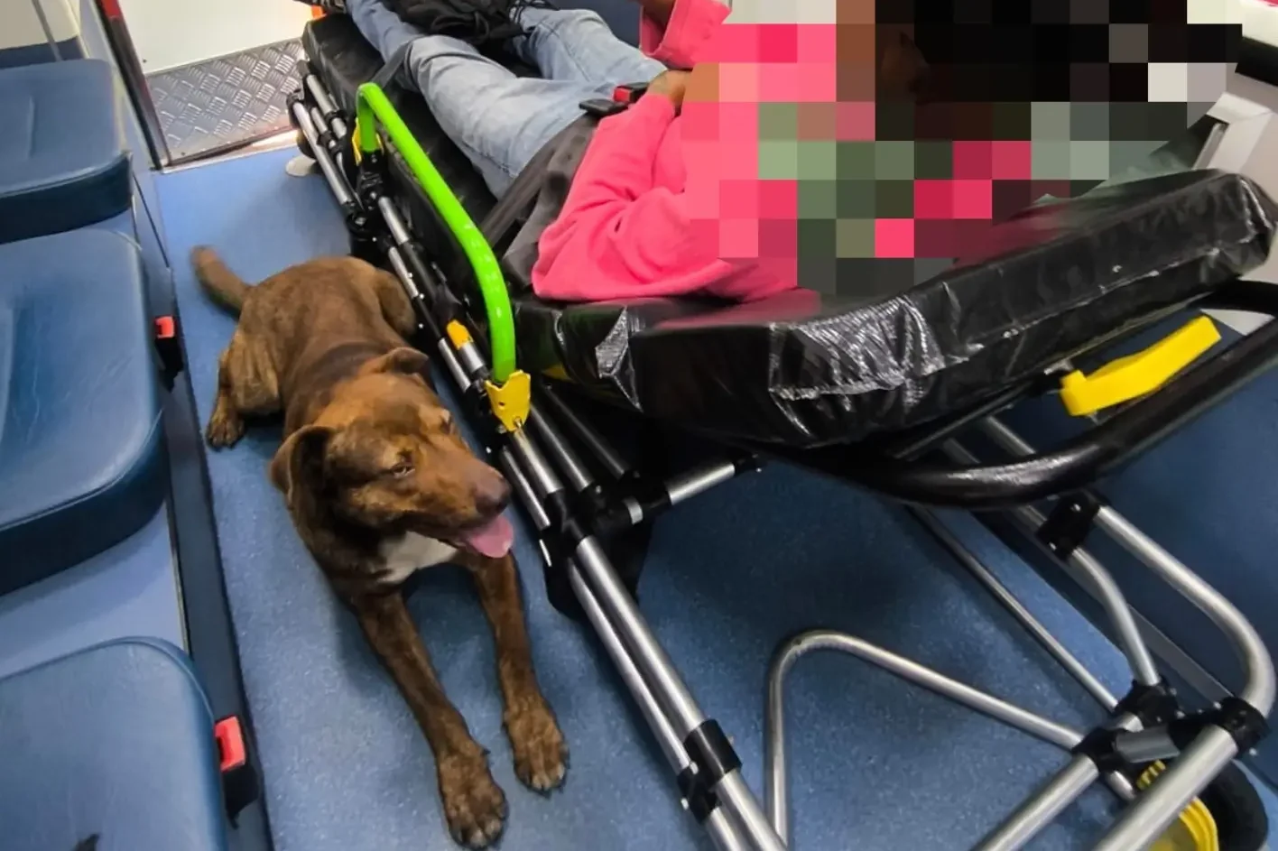Bombeiros Voluntários de Ibirama permitem que homem seja acompanhado pelo seu cão durante atendimento hospitalar