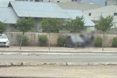 Polícia Civil instaura inquérito para apurar suspeita de maus-tratos contra gato em Rio do Sul