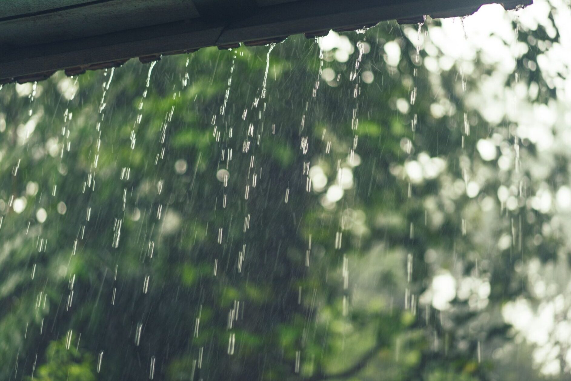 Semana terá períodos de chuva e melhora, com atenção para dois momentos de instabilidade em SC