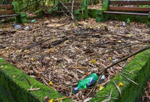 Ibirama busca reativar trilha urbana criada como espaço de educação ambiental com ajuda da comunidade