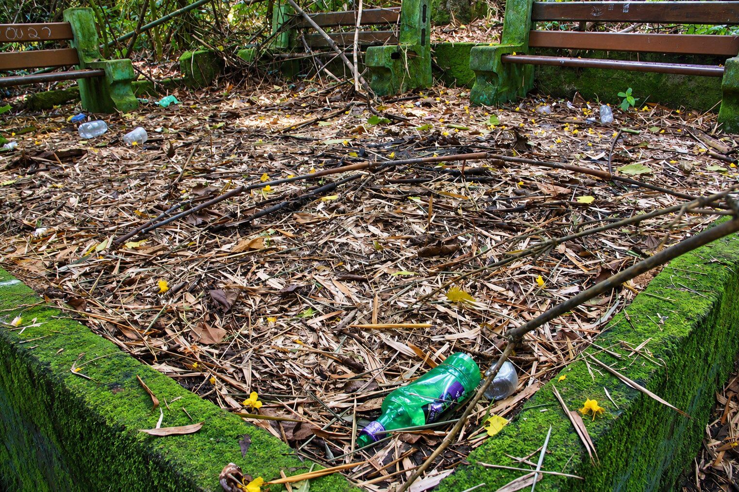 Ibirama busca reativar trilha urbana criada como espaço de educação ambiental com ajuda da comunidade