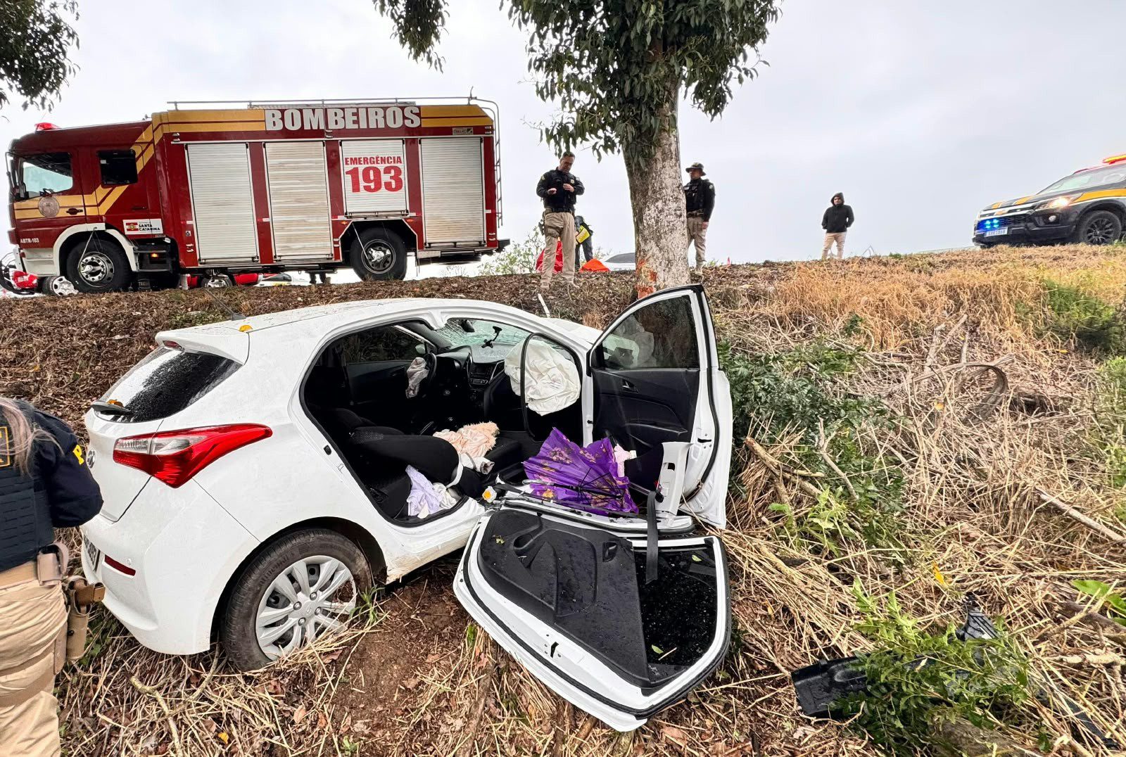 Mulher fica presa às ferragens após carro bater contra árvore na BR-470, em Rio do Sul